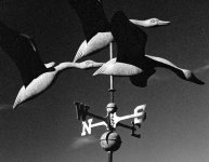 Kennebunk wind_vane.jpg