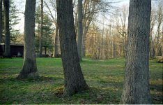 'cron-f2.4.jpg