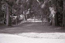 08102010-sonnar-elmar-test-0690.jpg