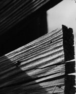 Shadows & Grain.jpg