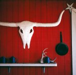 Red White & Blue-1.jpg