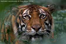 CRW_6921.jpg