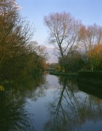 river_evening1.jpg