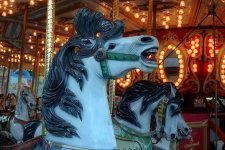 horsie_200k.jpg