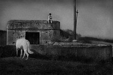 boy_and_dog.jpg