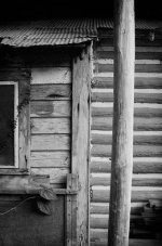 Shed_Micanaopy_FL_11.jpg