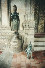 210-011-2000.jpg