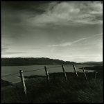 lubitel2.jpg