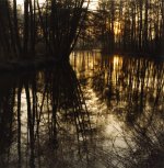 isolette print 02kl.jpg