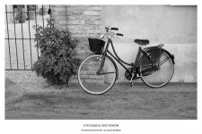 big_3_rolleis8014_1.jpg