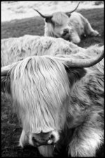 acros020.jpg