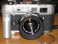 DSC03595.jpg