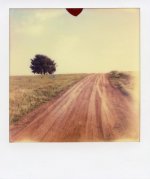 dirt road.jpg