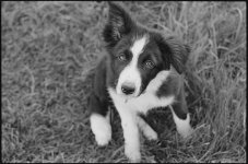 050-small.jpg