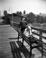 2010-05-21 Tri-X Holga009.jpg