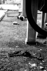 abandoned-brewery..jpg