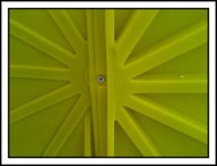 Yellow!.jpg
