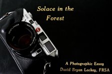 Leica M6 Solace in the Forest rff.jpg