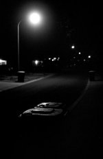 Bin_Night.jpg