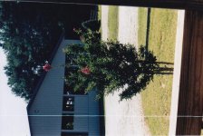 IMG.jpg