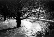 DK-Nites-Winter-07-1.jpg