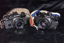 PICT0008web.jpg