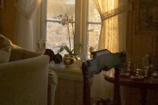 L1001160 smallcopy.jpg