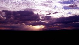 rff crtitique 29.jpg