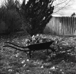Favorit - 001.jpg