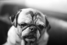 OM 1 - Lulubelle.jpg