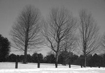 120220 Exp Farm Ottawa 4.jpg