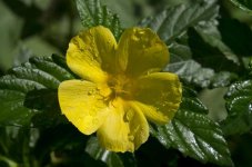Caribbean 2012-7.jpg