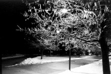 DK-Nites-Winter-07-3.jpg
