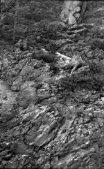 Grotto stump small2 .jpg