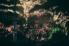 lights.jpg