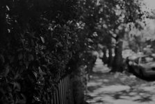 OM 1 - 50 1-4.jpg