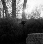 img023.jpg