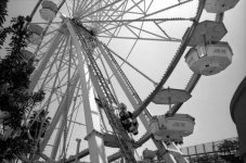 wheel.jpg