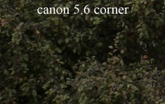 canon 5.6 corner.jpg