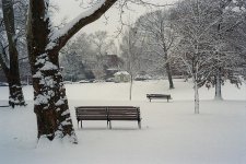 8 Feb 2011 Winter, Benches, Clark Park.jpg