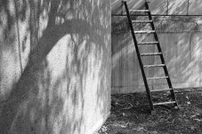 lux-street-66.jpg