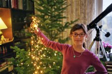 treelights-35-1-8.jpg