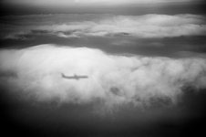 L1003022.jpg