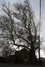 IMG_0134.jpg