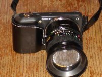 DSC03681.jpg