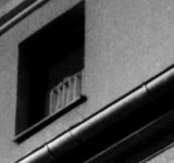 BW 2009-002.15crop.jpg