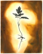 Cromo-Poison-Ivy-APUG.jpg