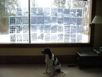 darkroom 018 (Large).jpg