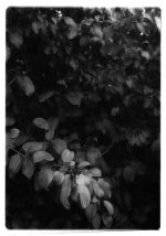 Untitled-6.jpg