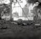 img201.jpg